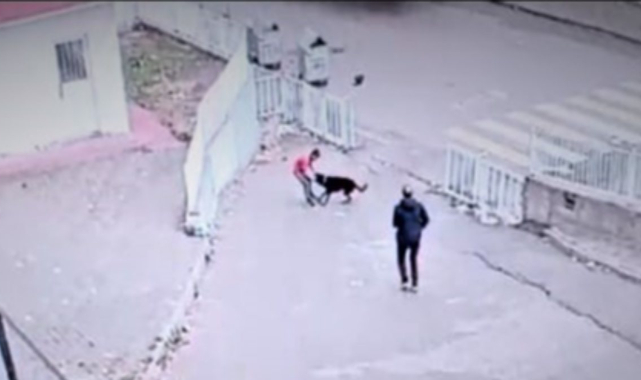 Güvenlik Görevlisinin Dikkati Bir Çocuğun Belkide Hayatını Kurtardı!