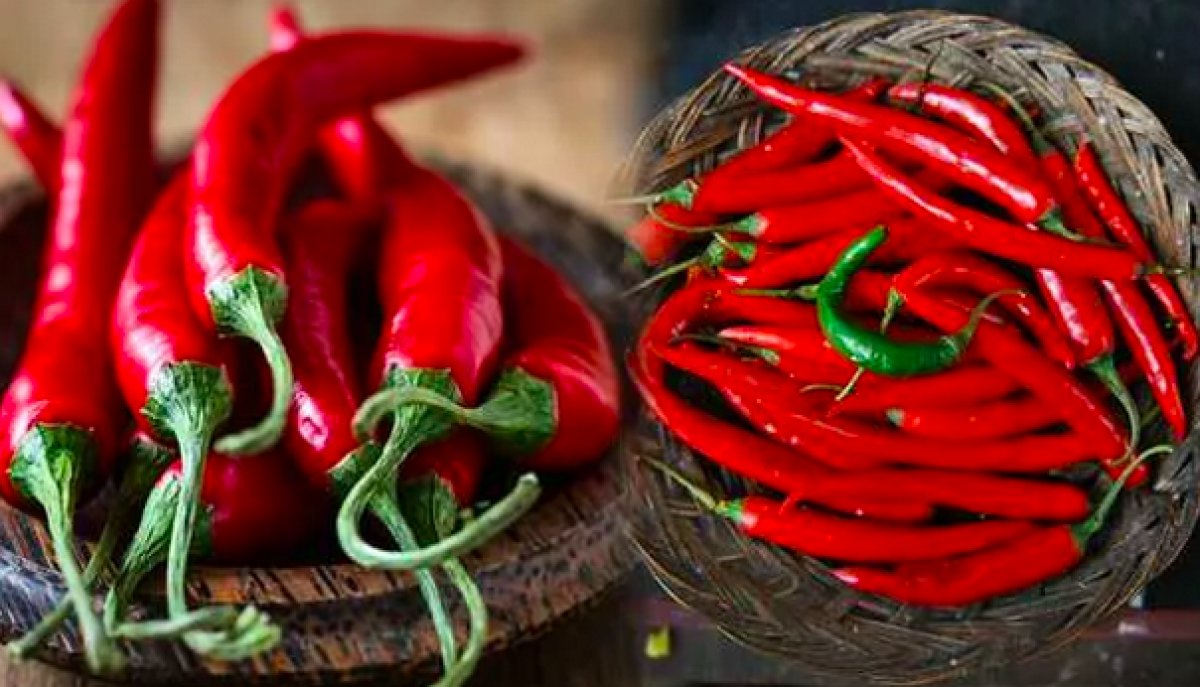 Yedikleri acı biber, Nobel Tıp Ödülü'nü kazandırdı