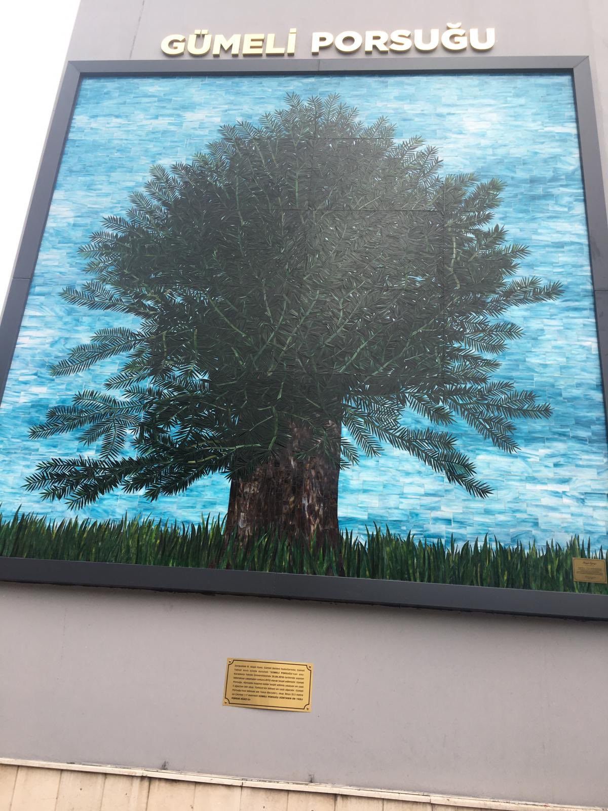 Zonguldak'ta Gençliğe Hitabe levhası ile mazgal kapatılmasına inceleme