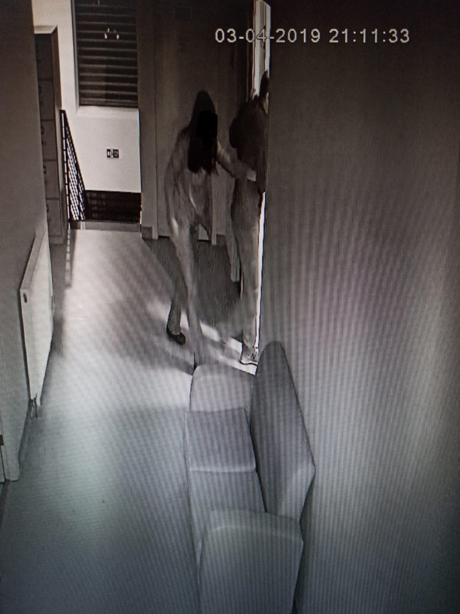 Ankara’da veterinere cinsel saldırı: Avukattan gelmeyen rapora tepki