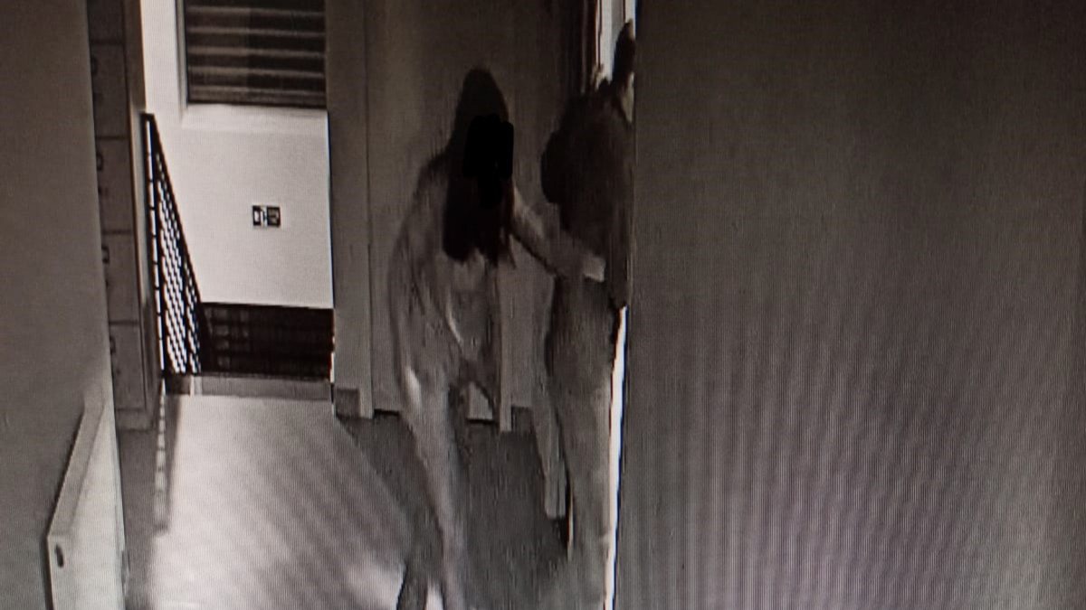 Ankara’da veterinere cinsel saldırı: Avukattan gelmeyen rapora tepki