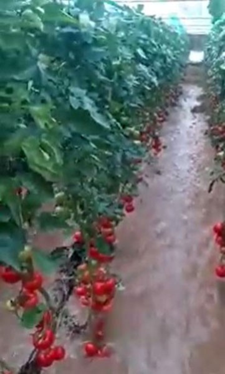 Antalya’da, seranın sular altında kalma anları kamerada