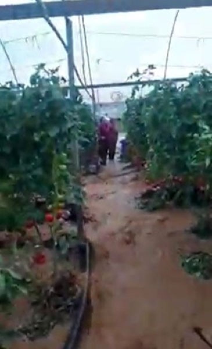 Antalya’da, seranın sular altında kalma anları kamerada