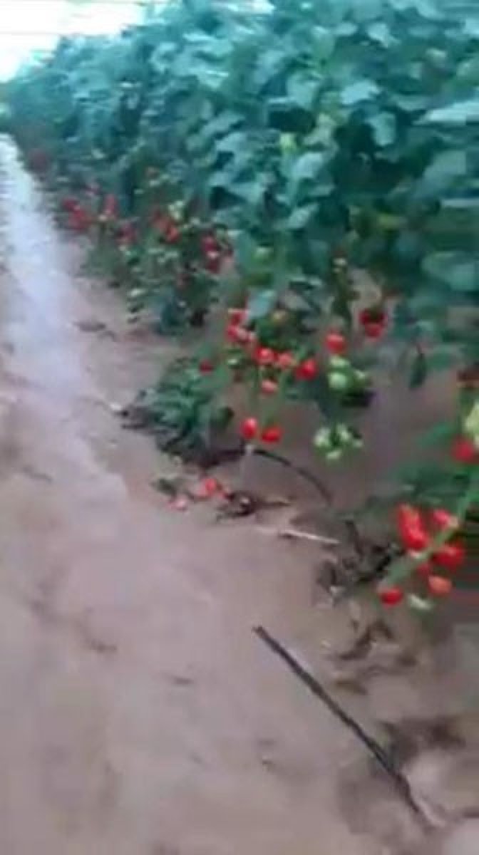 Antalya’da, seranın sular altında kalma anları kamerada