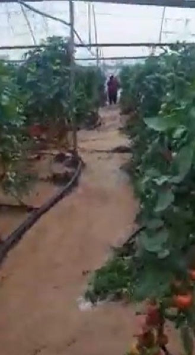 Antalya’da, seranın sular altında kalma anları kamerada