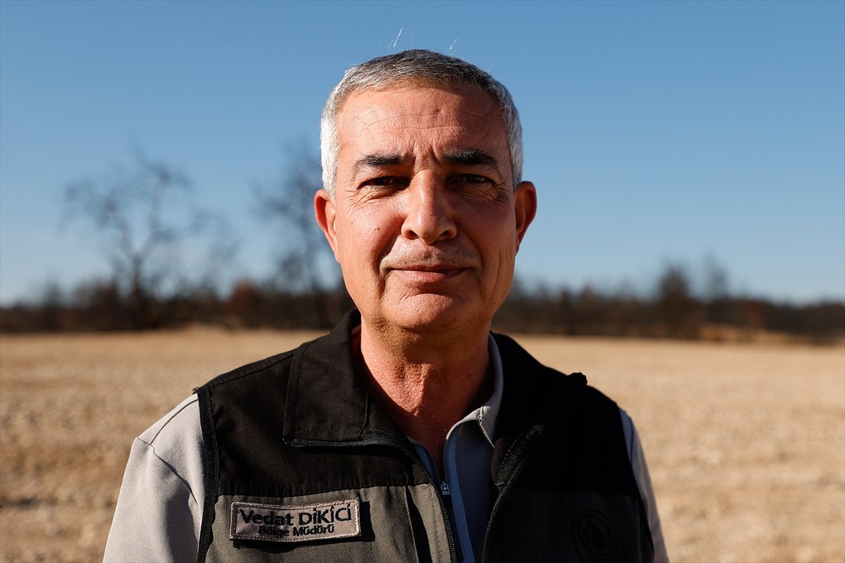 Antalya'da, yanan alanlarda ilk fidan yarın dikilecek