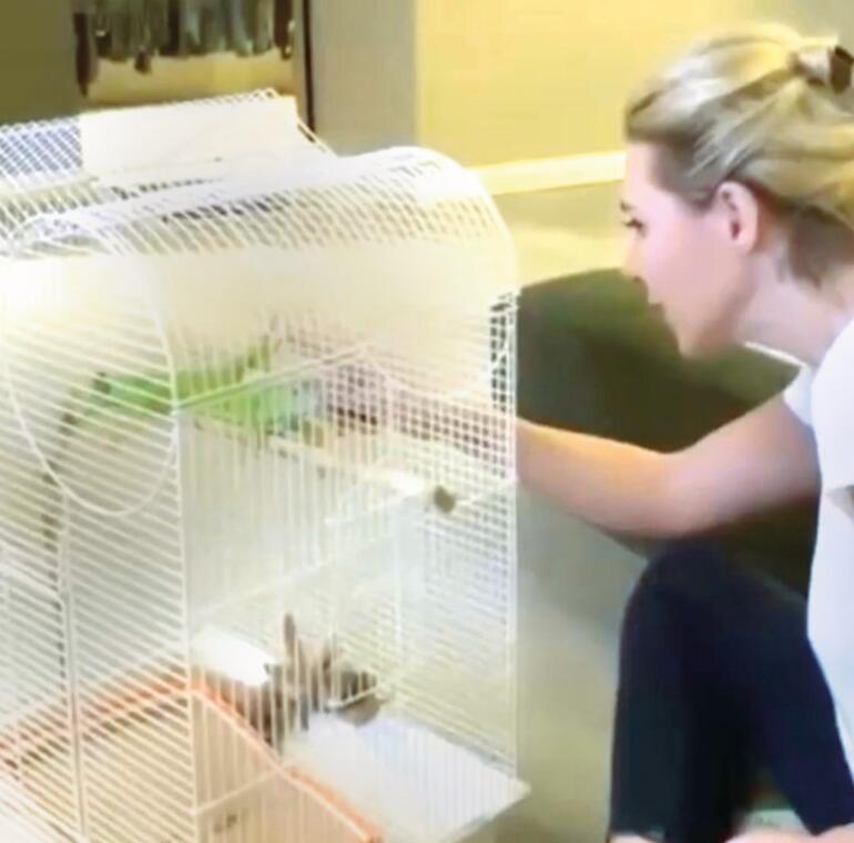 Bige Önal ve Aras Bulut İynemli'nin 1 aylık Amsterdam molası