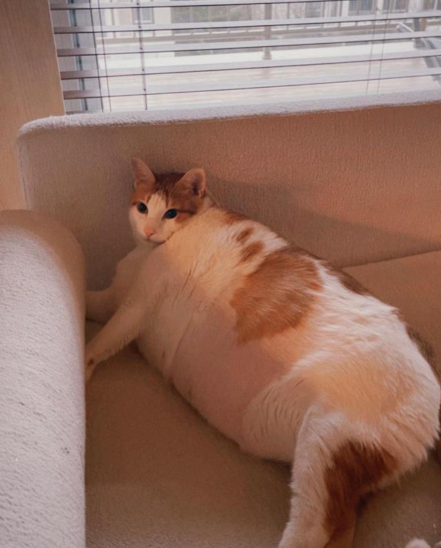 Danla Bilic'ten duygusal paylaşım: Çok ani bıraktın beni