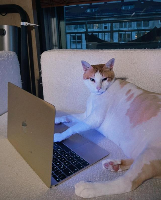 Danla Bilic'ten duygusal paylaşım: Çok ani bıraktın beni