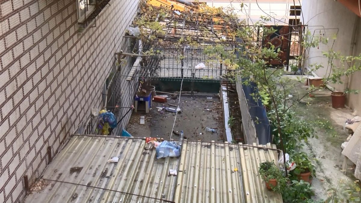 Gaziosmanpaşa'daki şahıs mahallesine korku yaşatıyor