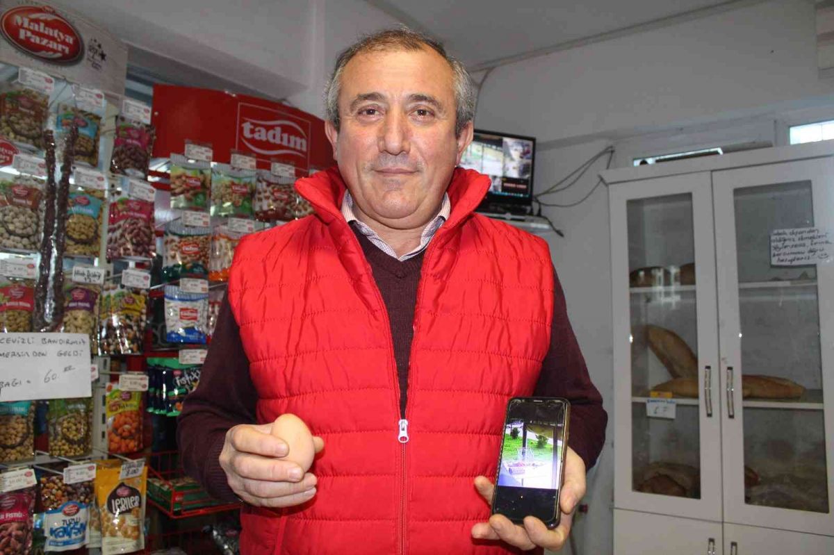 Ordu'da hırsız karga markete dadandı