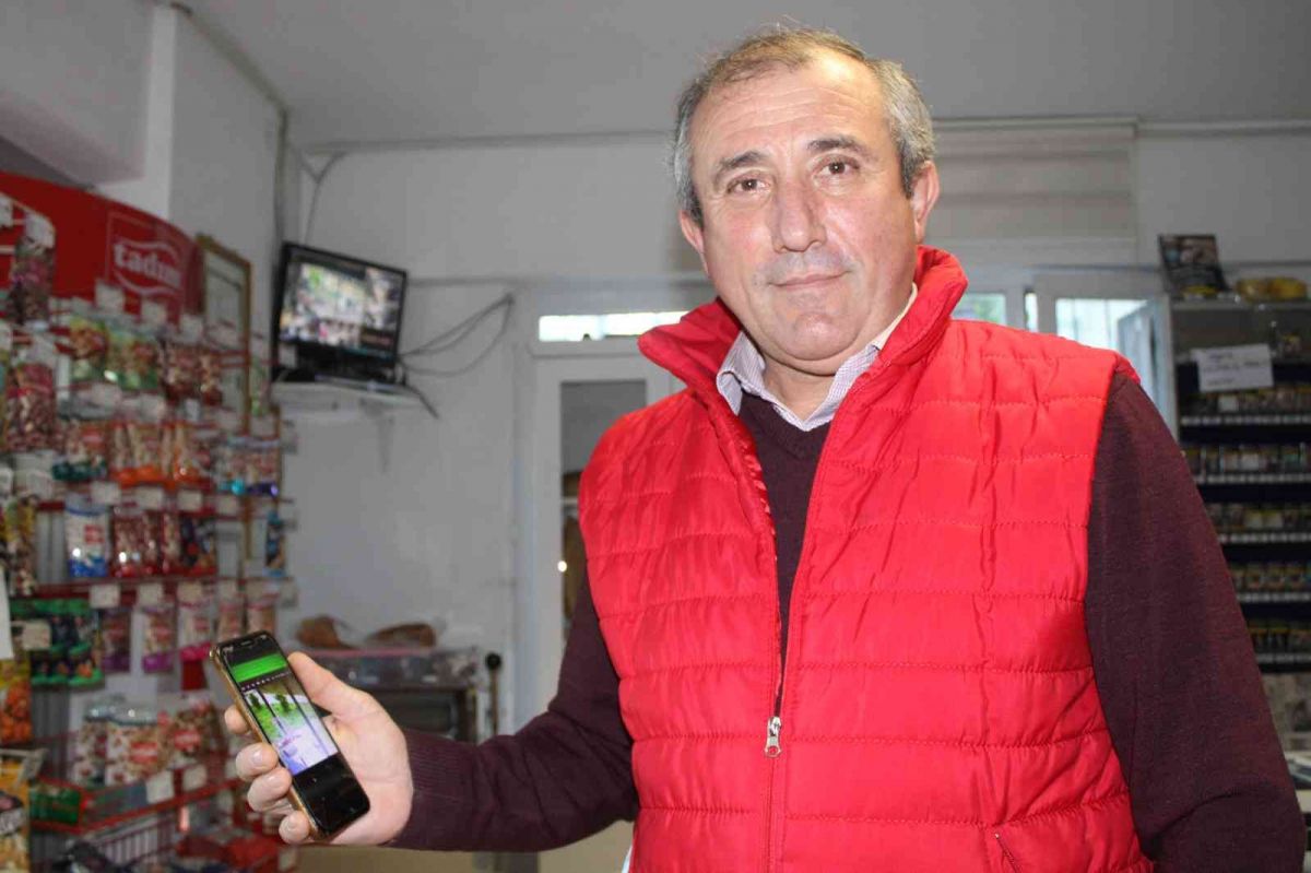 Ordu'da hırsız karga markete dadandı