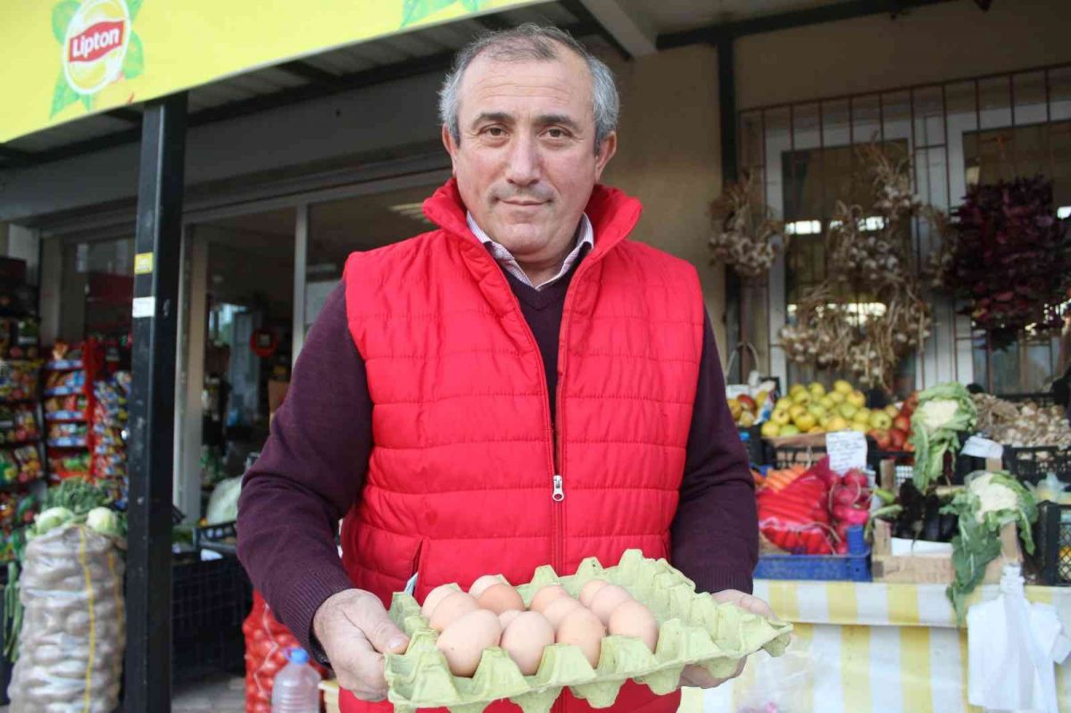 Ordu'da hırsız karga markete dadandı