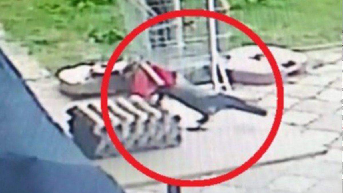 Ordu&#039;da hırsız karga markete dadandı