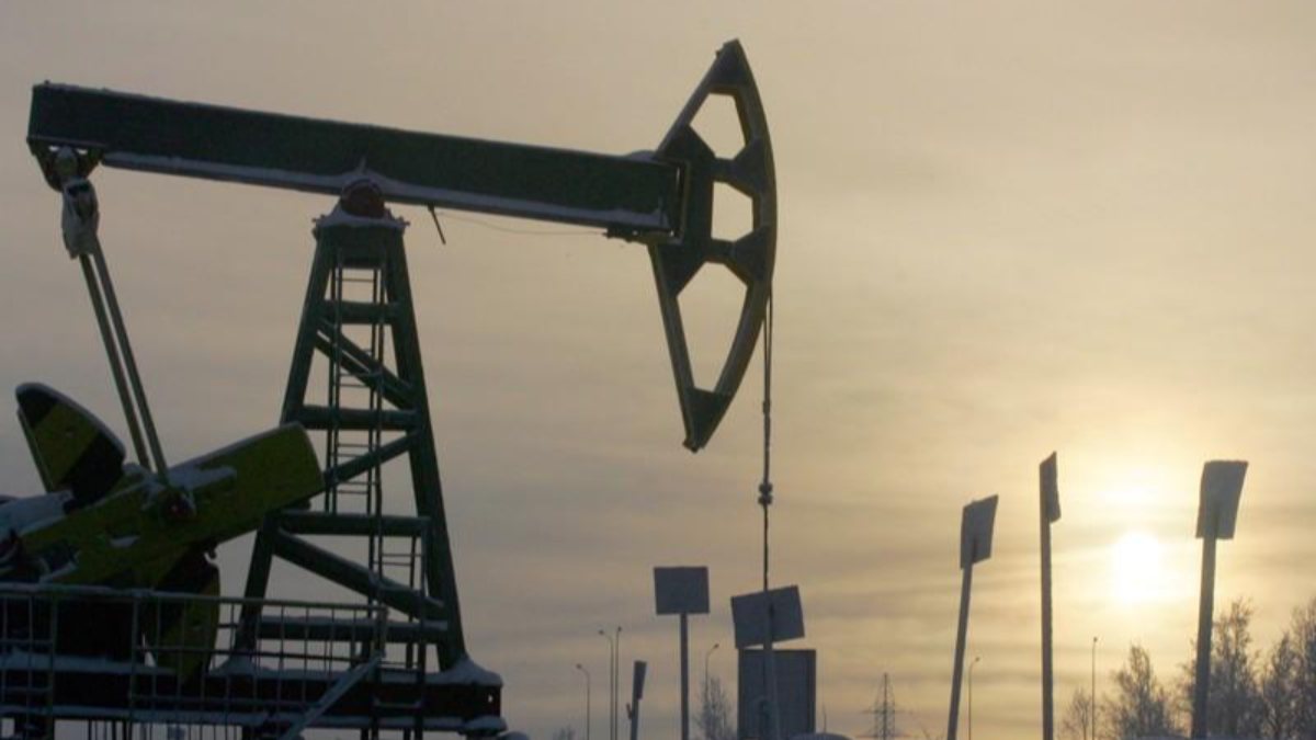 Rusya'nın 30 yıllık petrol, 50 yıllık doğalgaz rezervi var