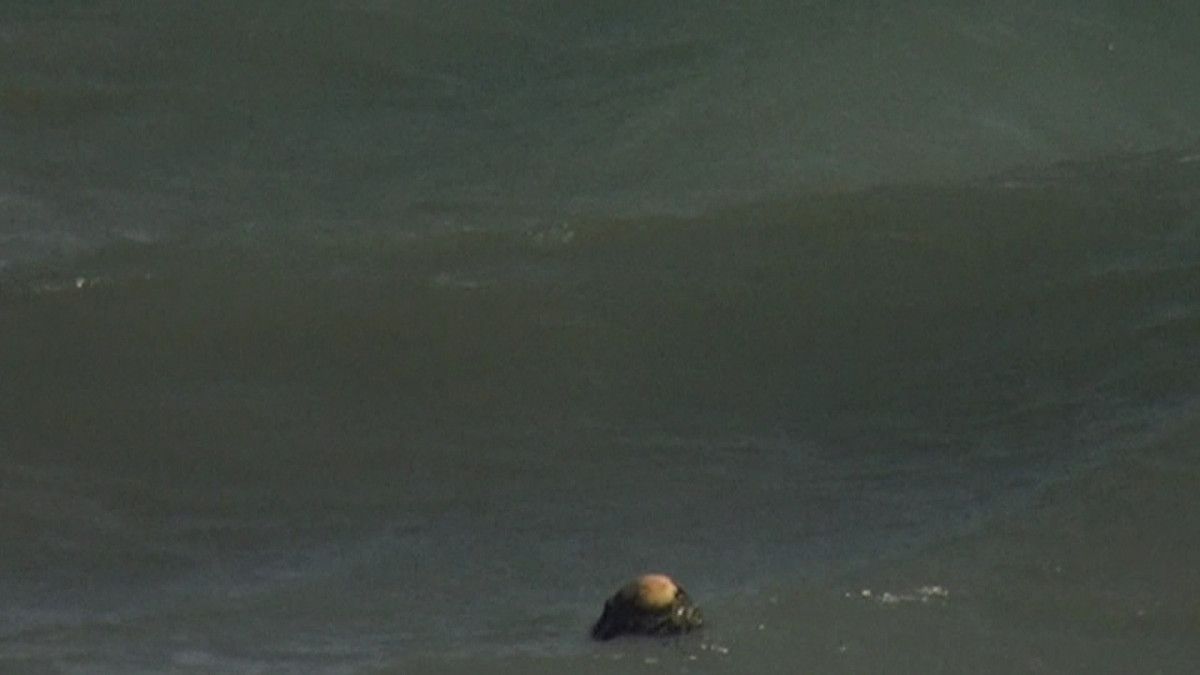 Sinop'ta çocukların ceset ihbarındaki cisim 'şamandıra' çıktı