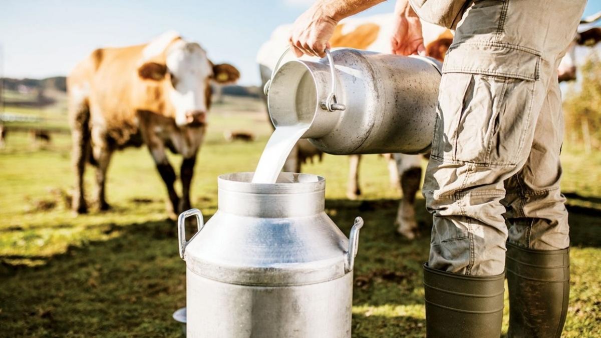 Sütün satış fiyatı 4 lira 70 kuruşa yükseldi