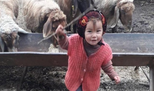 Aile ve Sosyal Hizmetler Bakanlığı'ndan 'Müslüme' açıklaması