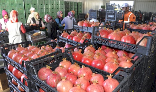 Rusya, nar ve biber ithalatını durdurdu