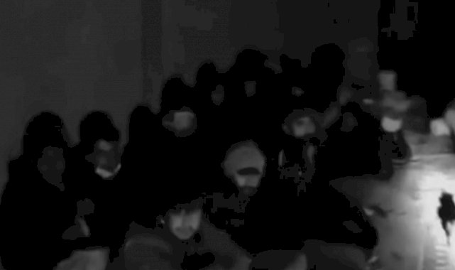 Van'da 73 düzensiz göçmen yakalandı