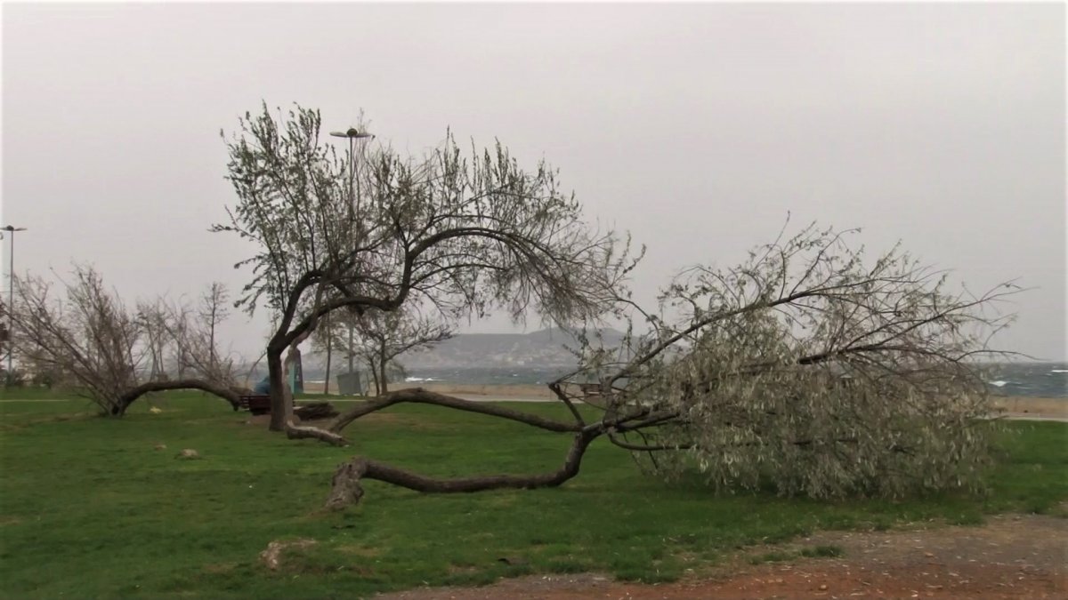 Ülkenin kıyı kesimleri, lodos etkisinde kaldı