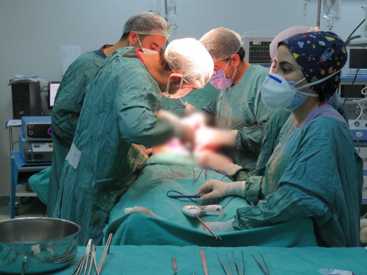 Van’da kilo zannetti, karnından 35 kiloluk tümör çıkarıldı