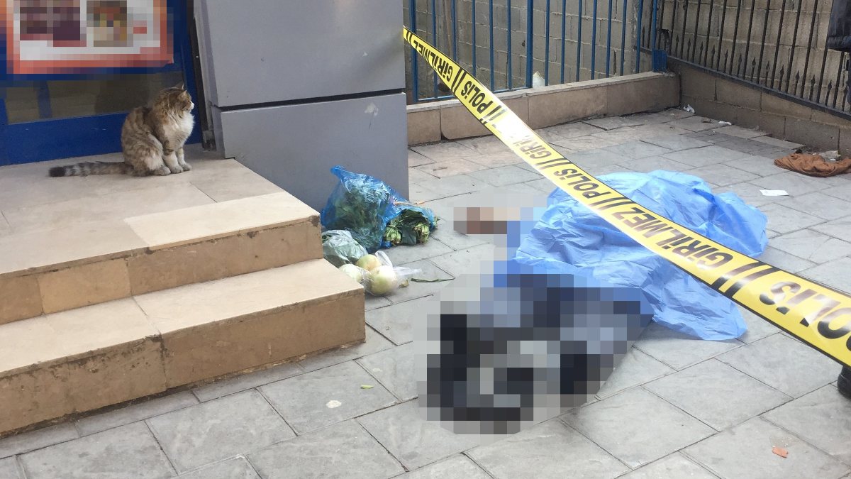 Adana�da kedi, alışverişte ölen kişinin başından ayrılmadı Türkiye