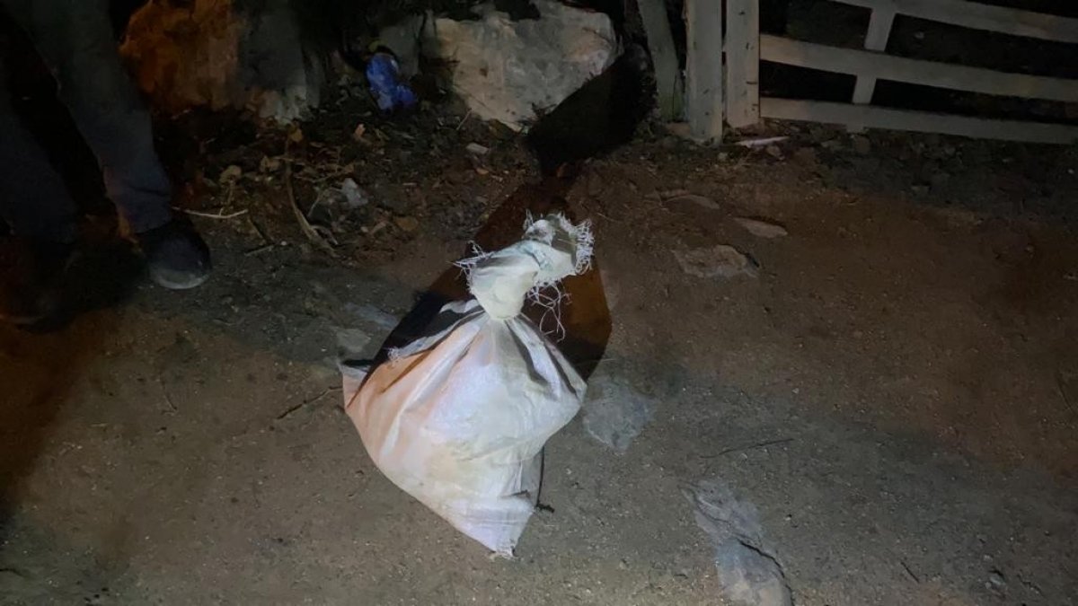 Afyonkarahisar’da hayvanlara zehirli yiyecekler verildi