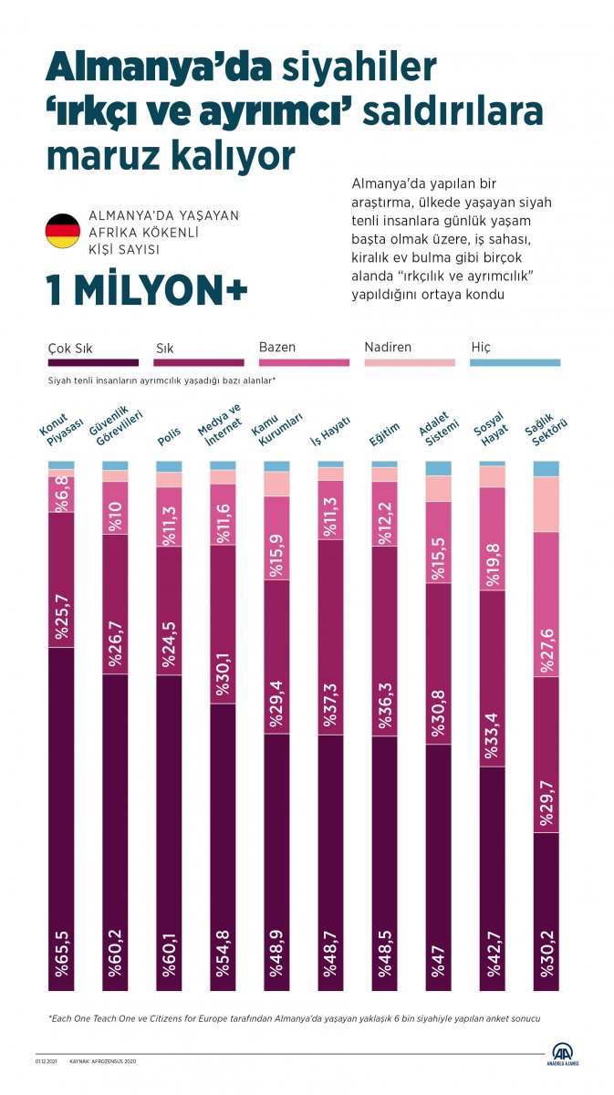 Almanya’nın ‘siyahi ırkçılık’ raporu yayınlandı
