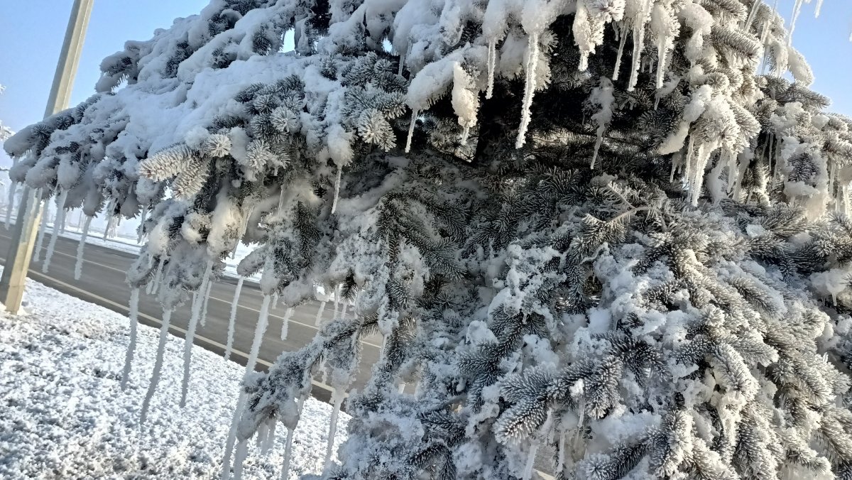 Erzurum'da hava sıcaklığı eksi 17'yi gördü