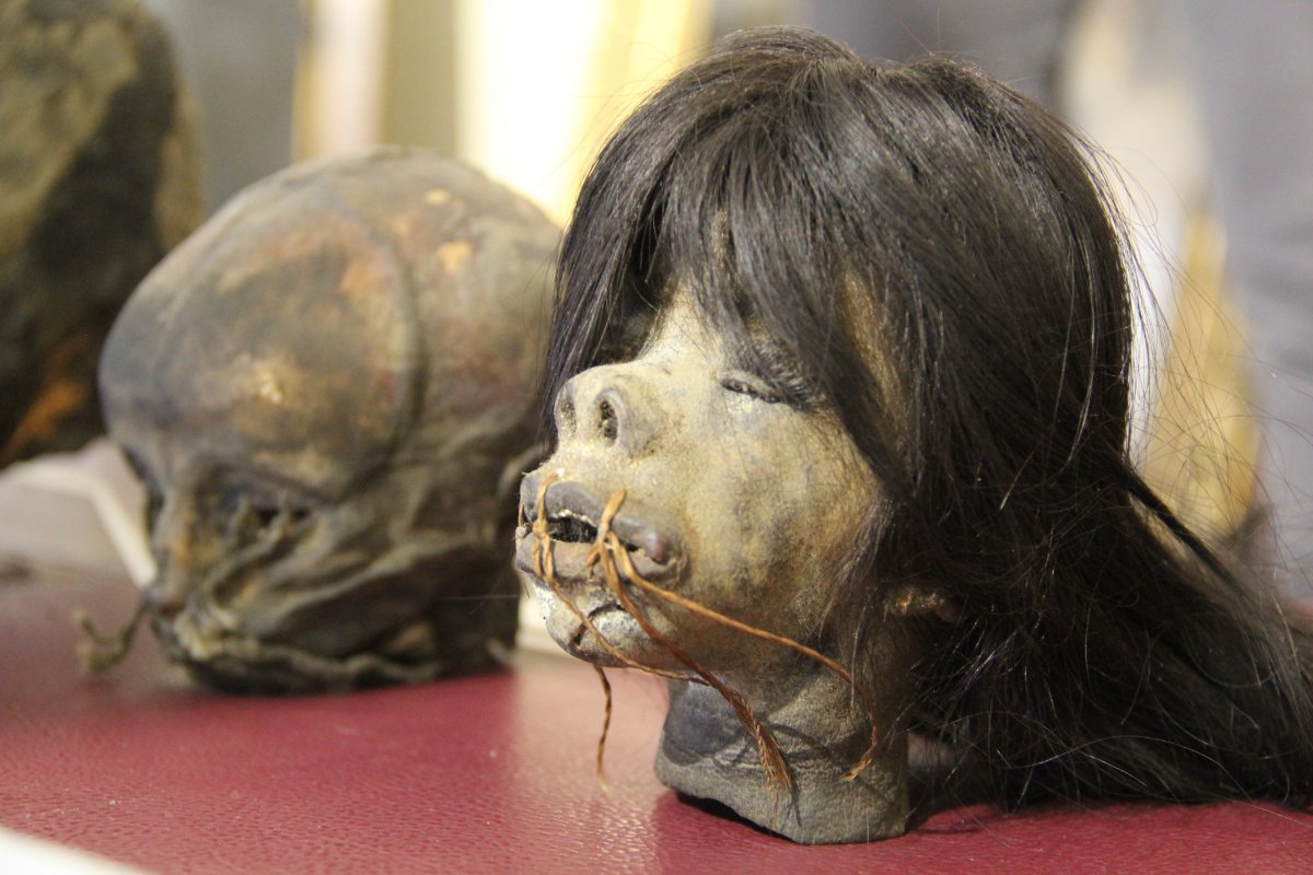 İzmir'de operasyon: Yerlilere ait ‘insan başları’ ele geçirildi