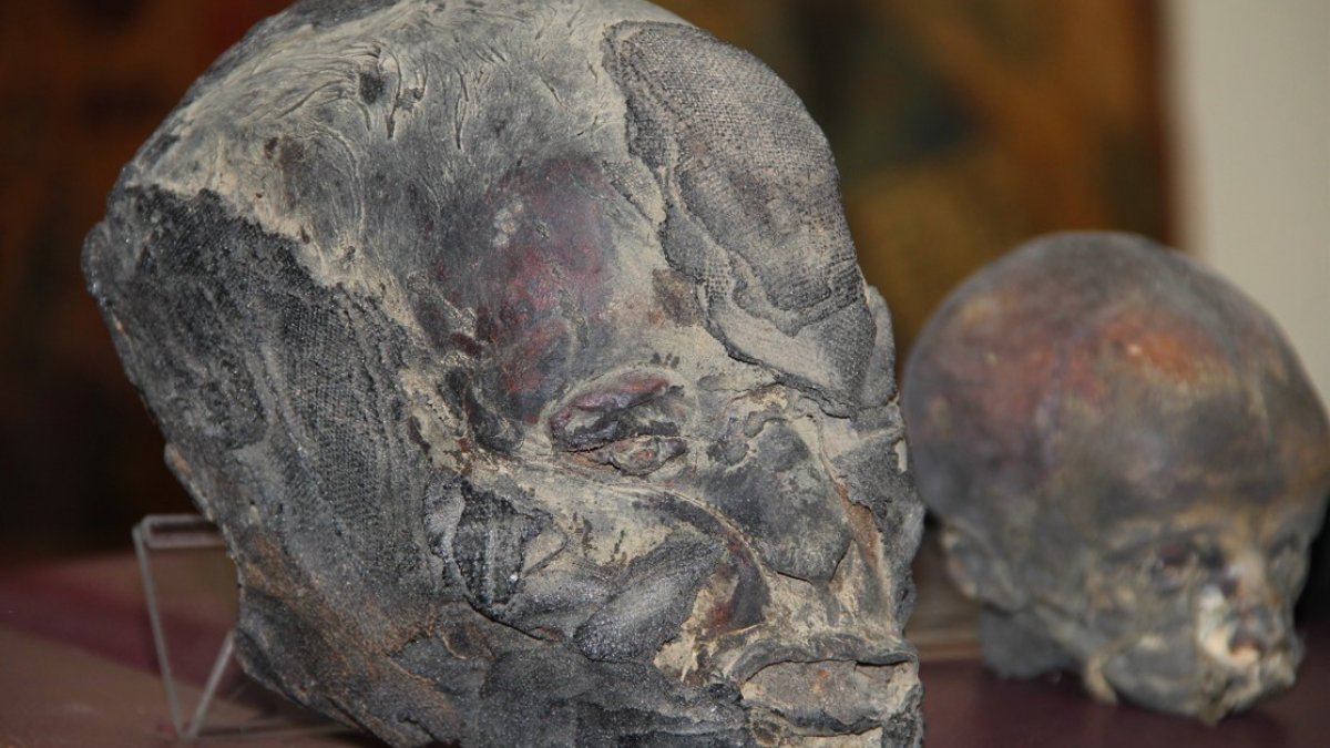 İzmir'de operasyon: Yerlilere ait ‘insan başları’ ele geçirildi