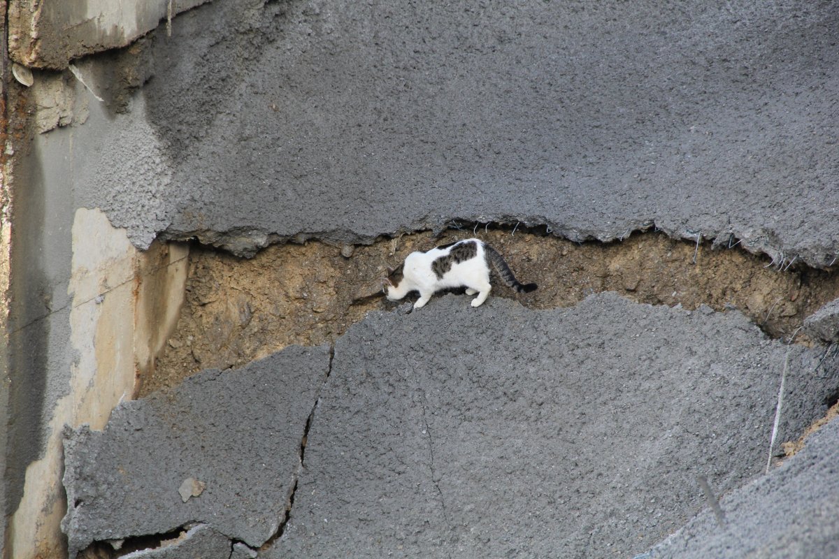 İzmir'de üzerine duvar yıkılan apartman sakinleri, günlerdir çözüm bekliyor