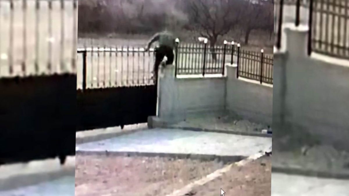 Kayseri'de Aksaray Malaklısı cinsi köpek hırsızın hedefi oldu