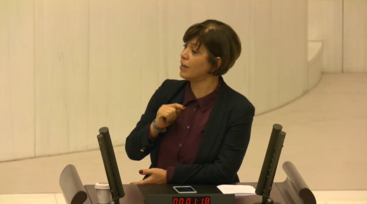 Meral Danış Beştaş: Abdullah Öcalan'ın barış getireceğini biliyorsunuz