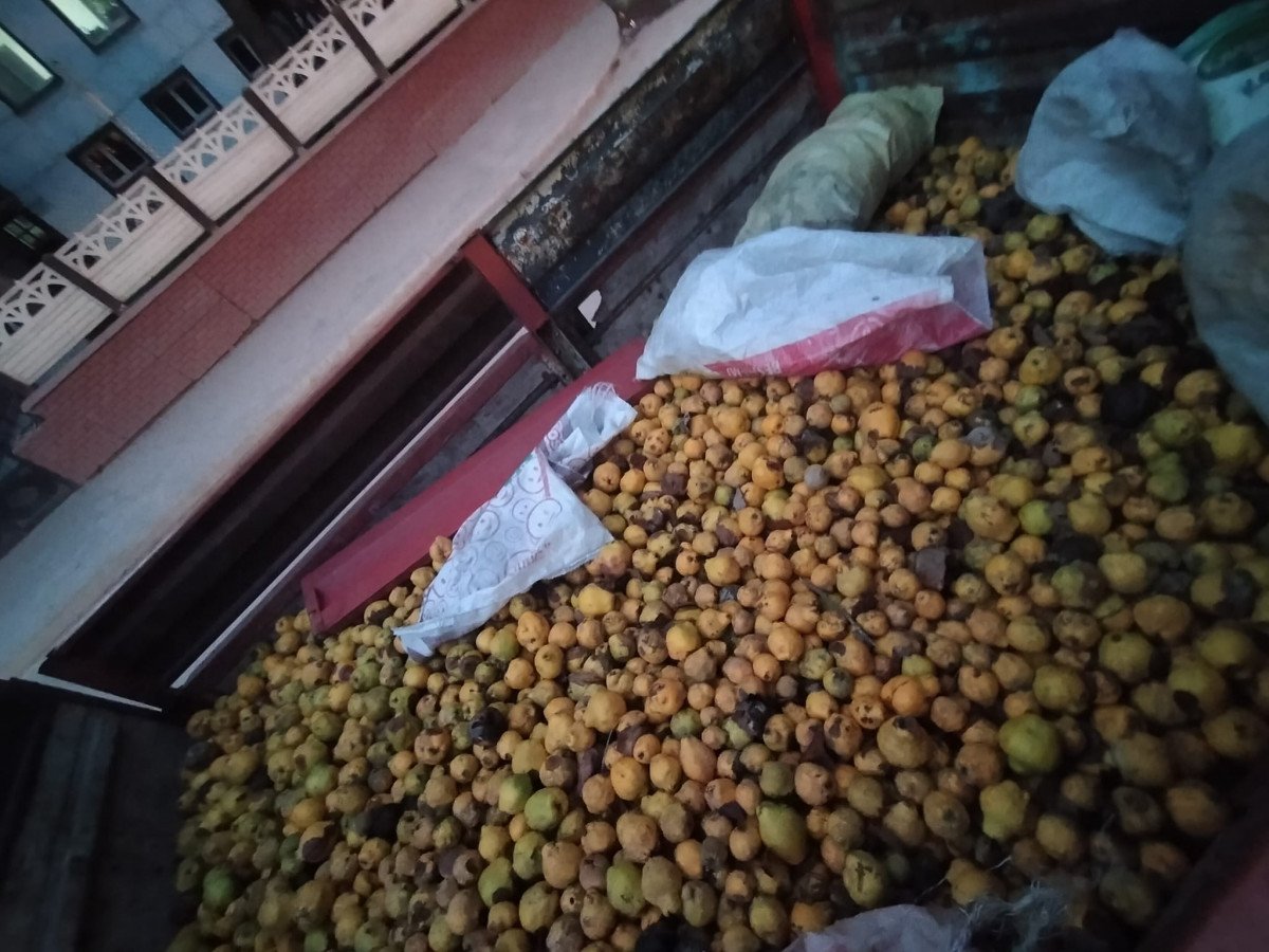 Sakarya’da, ayvaları çalıp bahçe sahibini darbeden şahıslar yakalandı