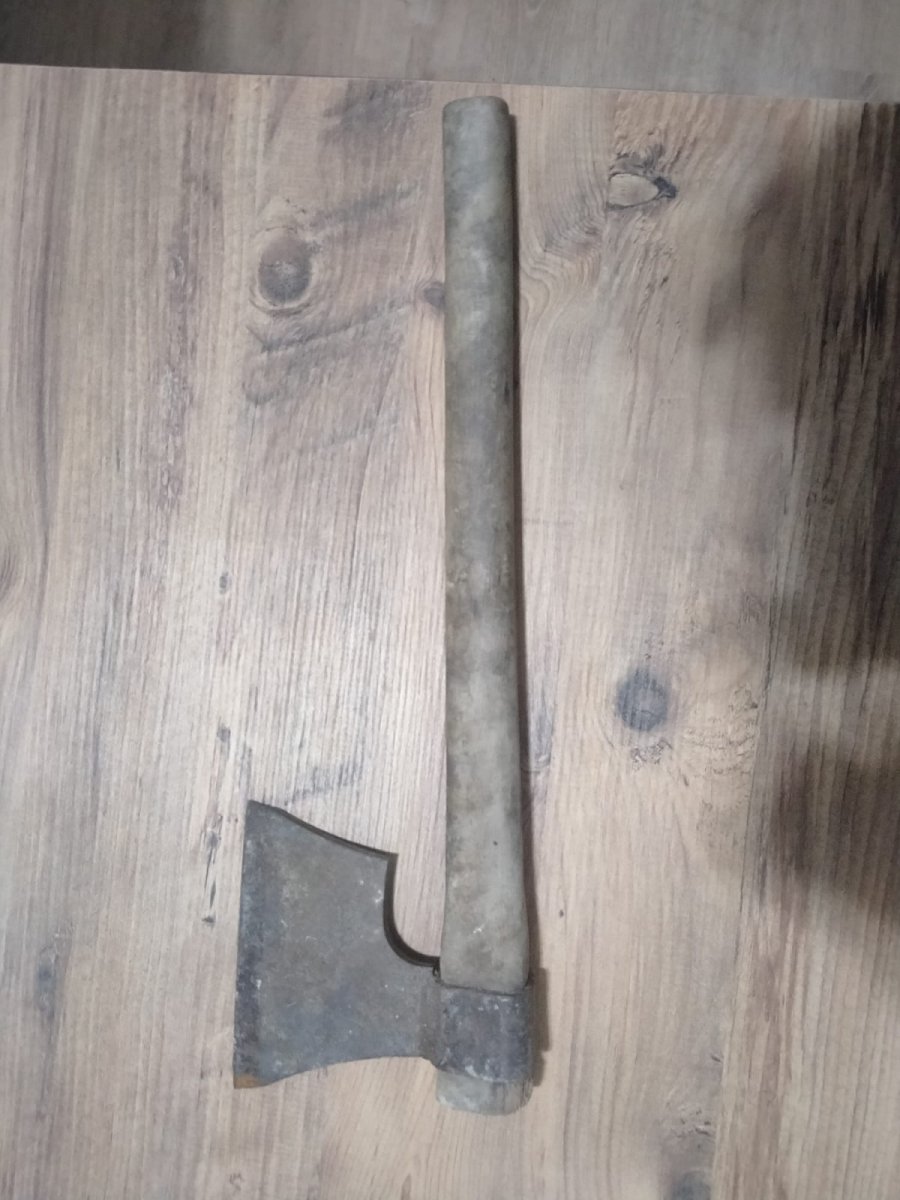 Sakarya’da, ayvaları çalıp bahçe sahibini darbeden şahıslar yakalandı