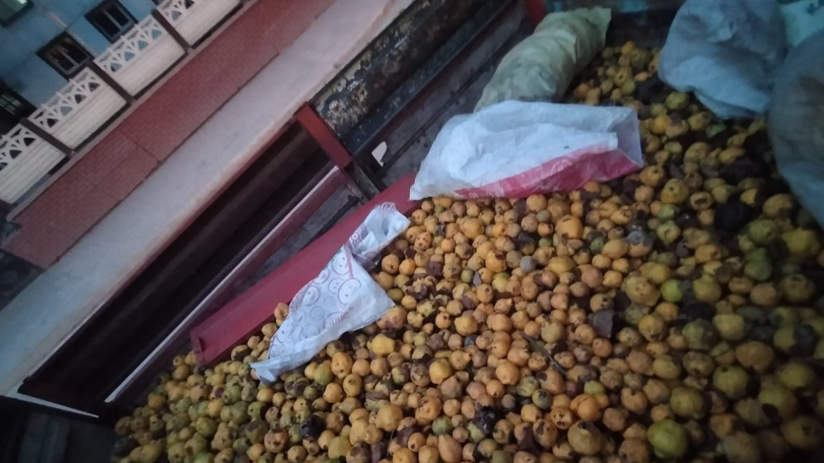 Sakarya’da, ayvaları çalıp bahçe sahibini darbeden şahıslar yakalandı