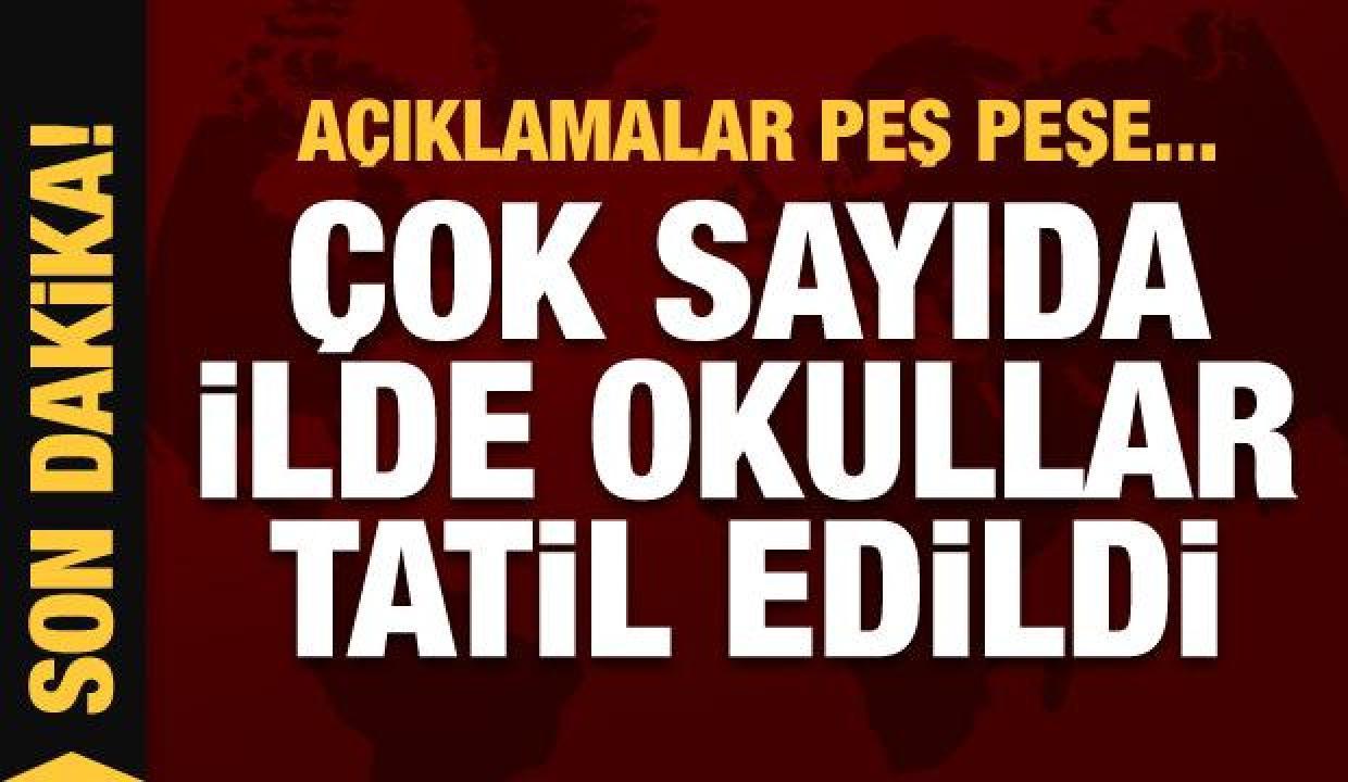Son dakika haberi: Çok sayıda ilde okullar tatil edildi