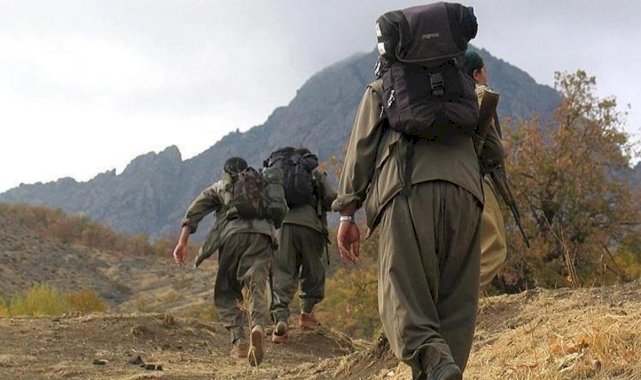 1'i gri kategoride olmak üzere 4 terörist teslim oldu