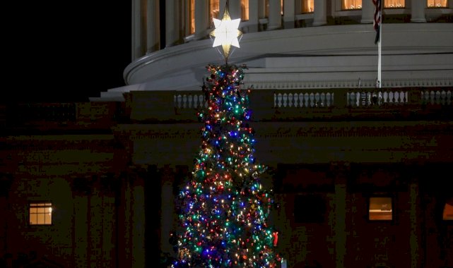 ABD Kongre binasının bahçesindeki yılbaşı ağacı ışıklandırıldı