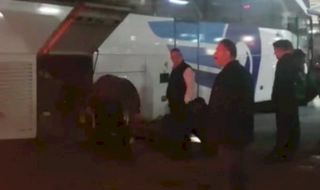 Bursa'da lastiğe sıkışan kedi, yolculuğu aksattı