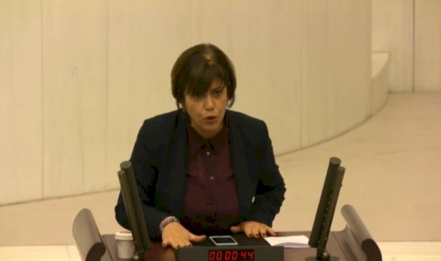 Meral Danış Beştaş: Abdullah Öcalan'ın barış getireceğini biliyorsunuz