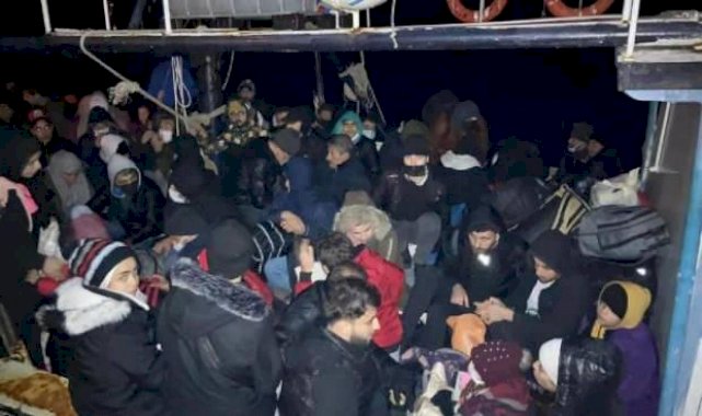 Muğla Köyceğiz'de 100 kaçak göçmen ve organizatöre operasyon