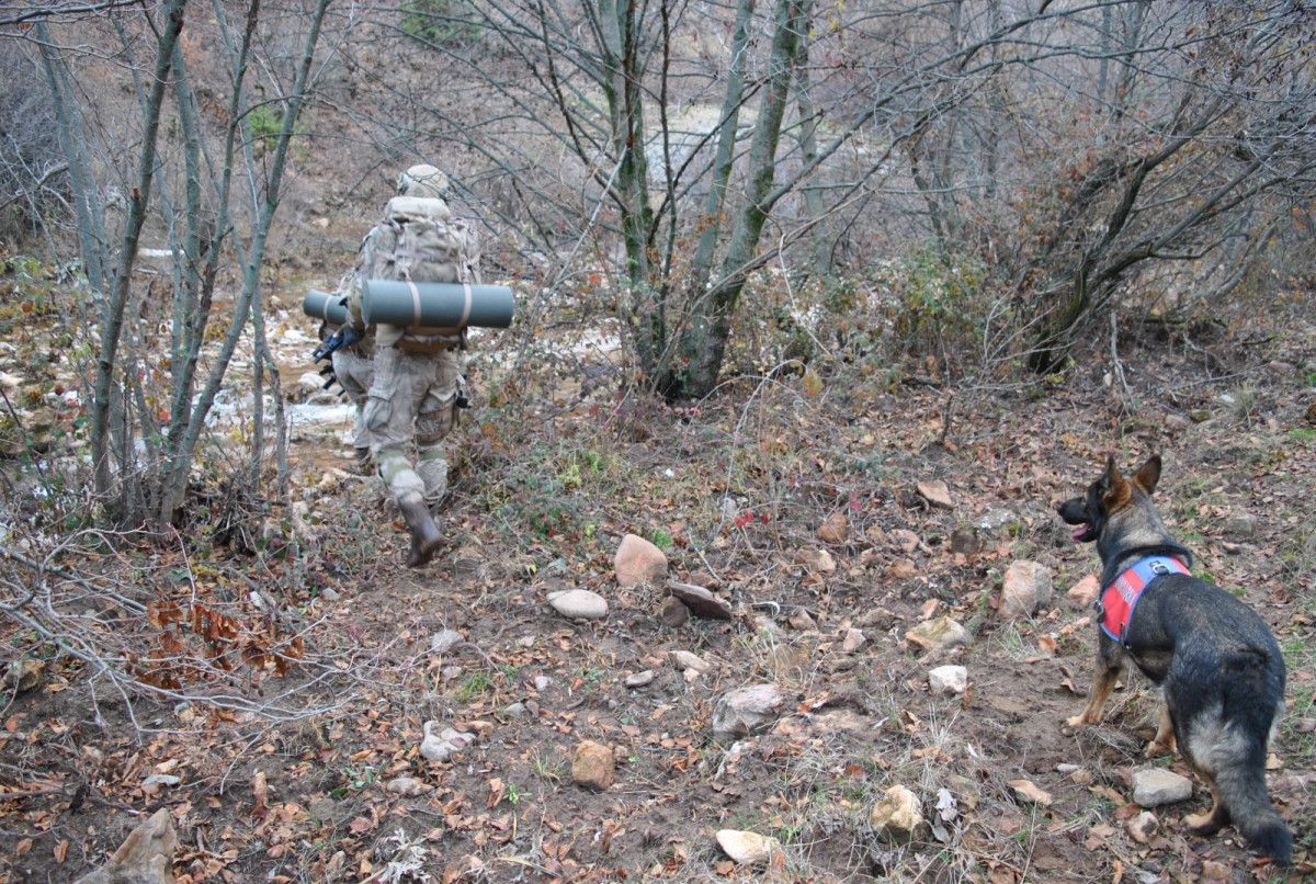 Tunceli kırsalında 6 terörist kaldı