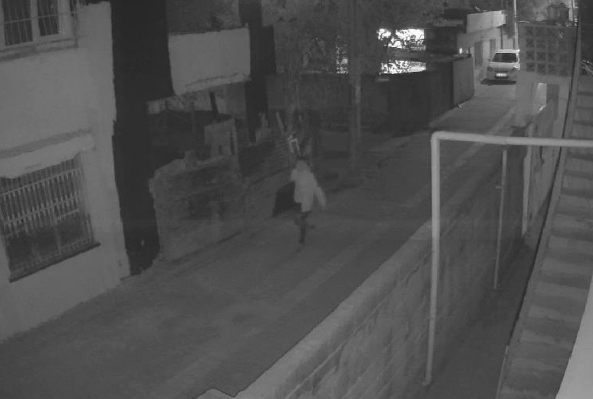 Adana'daki televizyon hırsızı kamerada