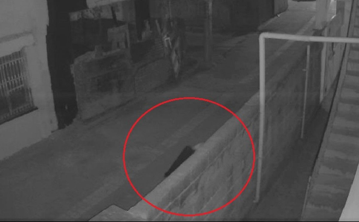 Adana'daki televizyon hırsızı kamerada