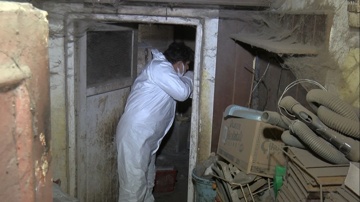 Ankara'da ölü hayvanları evindeki saksılarda sakladı