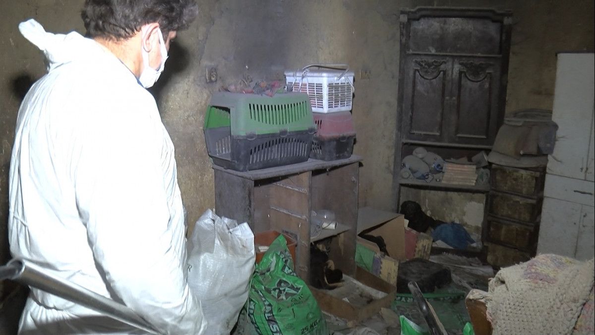 Ankara'da ölü hayvanları evindeki saksılarda sakladı