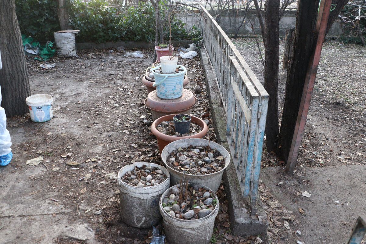 Ankara'da ölü hayvanları evindeki saksılarda sakladı